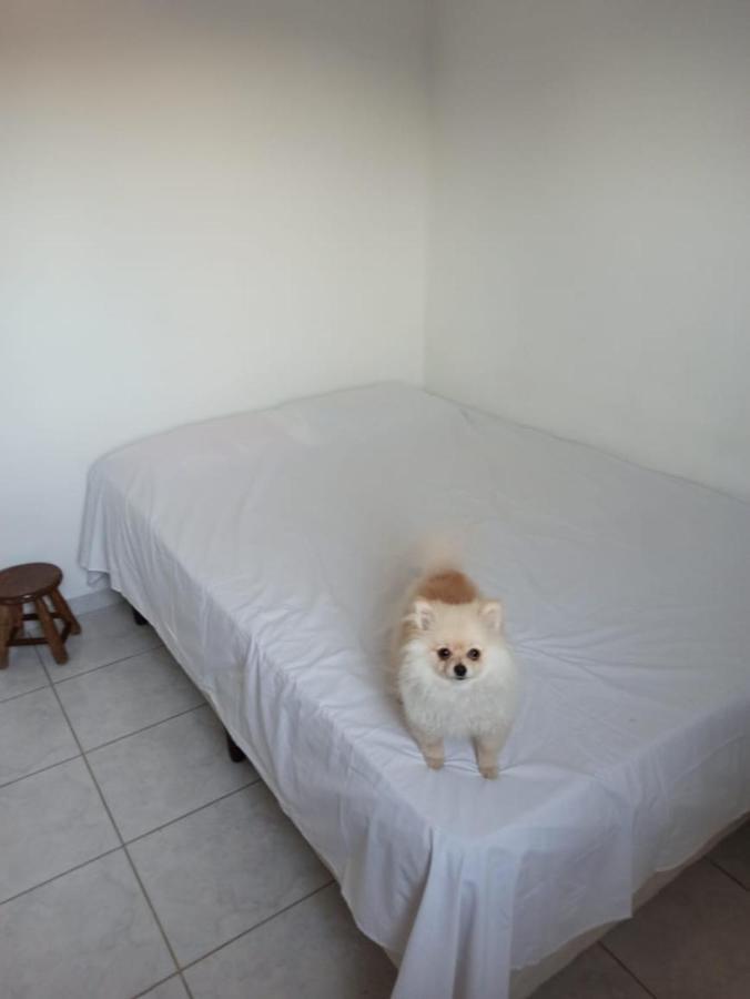 Aconchego Em Ubatuba! Apartment Bagian luar foto